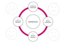 Fasen in een leer- en ontwikkelproces